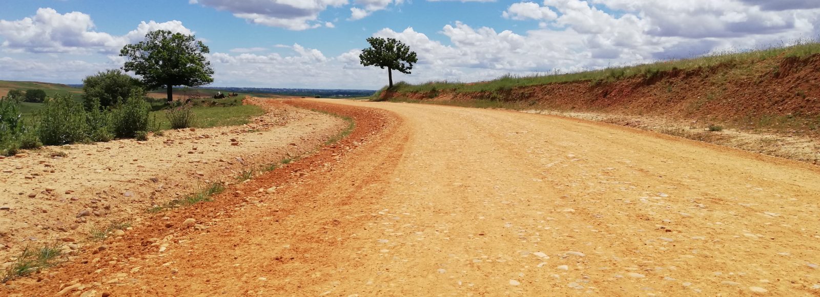Cammino di santiago.Pierangela Vallese
